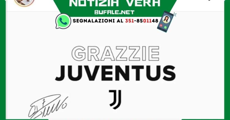 grazzie