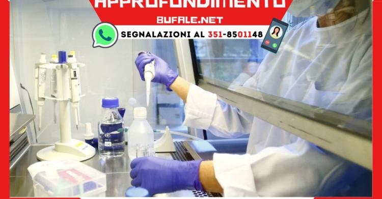 vaccino Pfizer