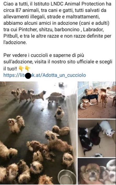 La finta pagina della Lega Nazionale del Cane: diffidate dalle imitazioni truffaldine