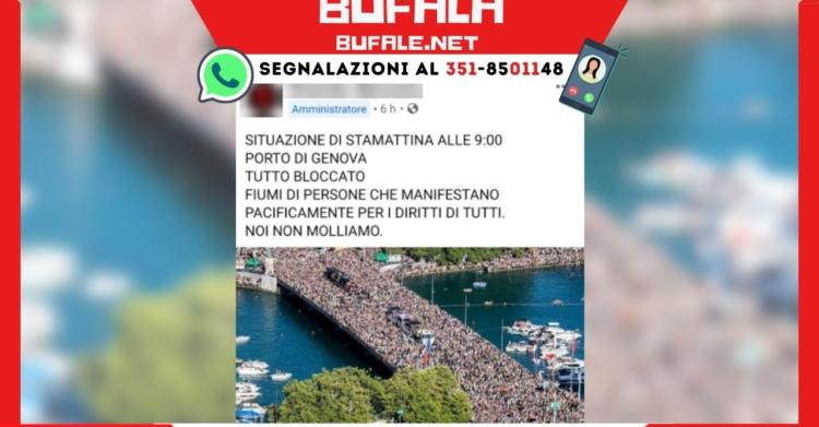bufala porto di genova