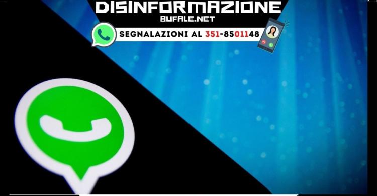 gruppi WhatsApp