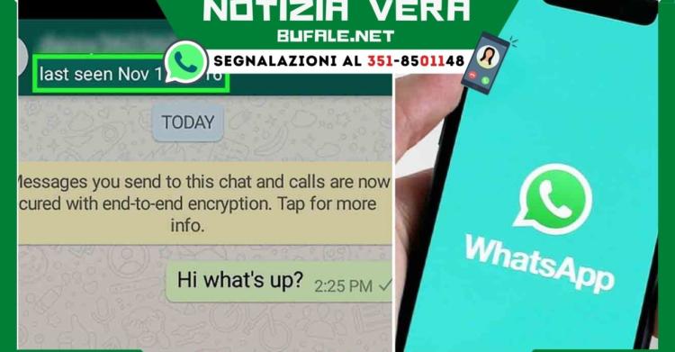 aggiornamento WhatsApp