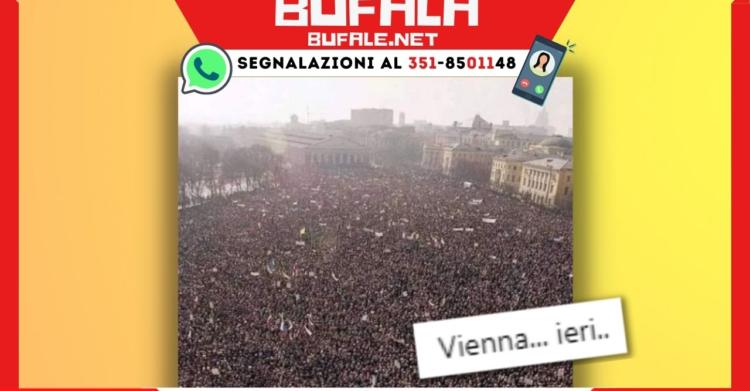 bufala vienna ieri