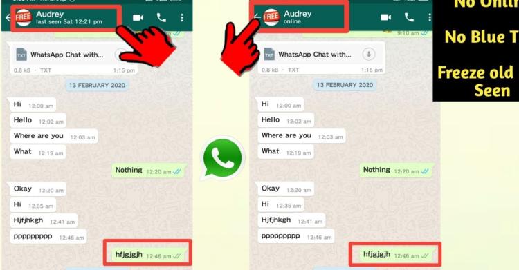 Online su WhatsApp