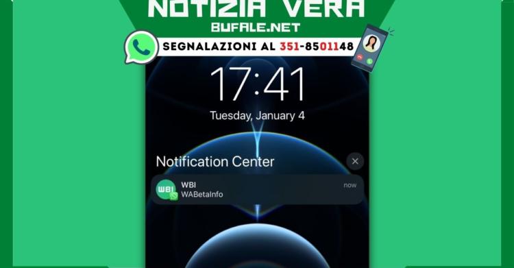 aggiornamento WhatsApp