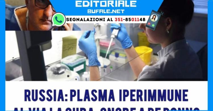 plasma iperimmune