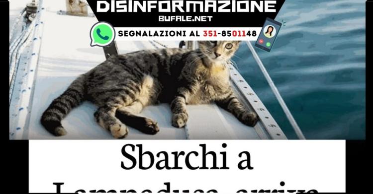 Salvini