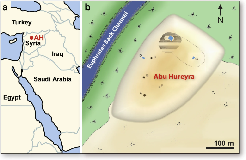 Tell Abu Hureyra e la teoria dell'impatto cosmico in Siria