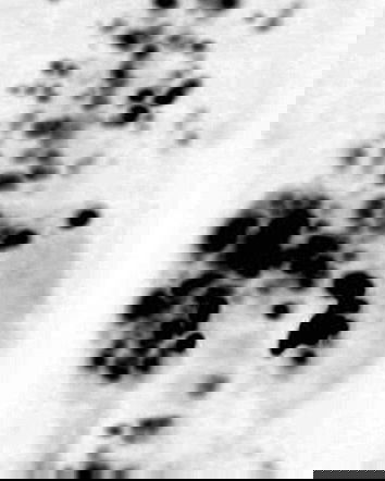 La cura del cancro? Non ancora