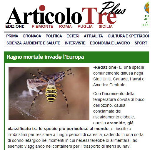Ragno mortale invade l’Europa?