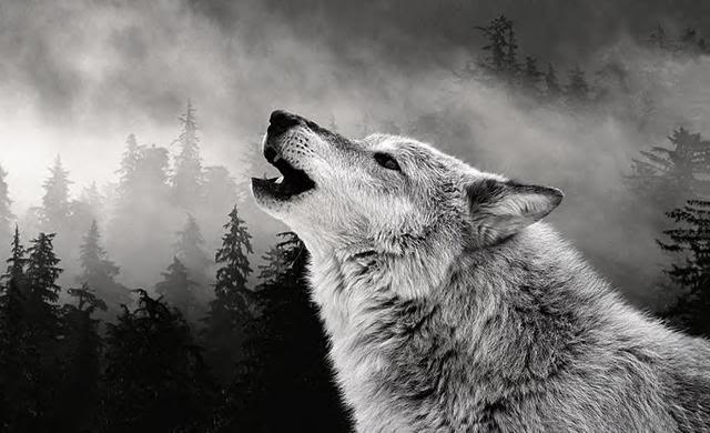Il gioco della disinformazione article-post