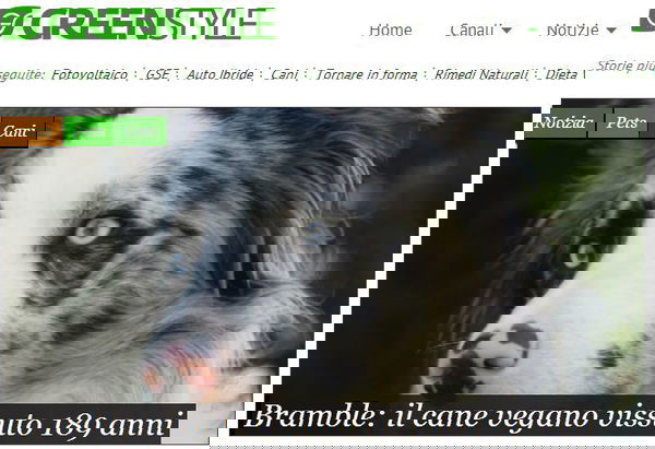 Bramble il cane vegano