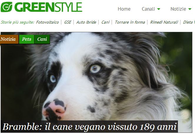 Bramble il cane vegano article-post