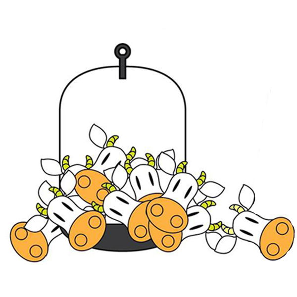 Che cavolo di ore sono??