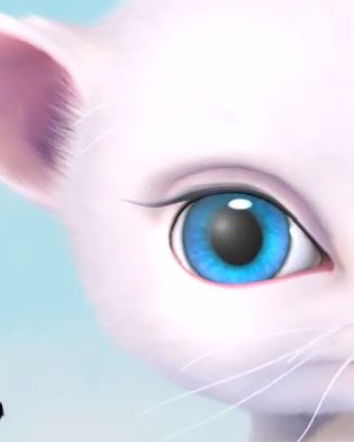 La gatta spiona del web