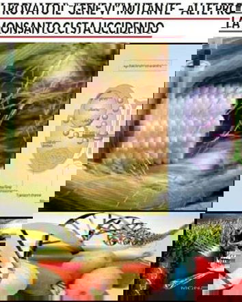 Gene VI e la “Monsanto che uccide”