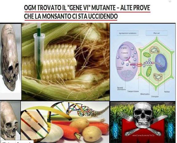 Gene VI e la “Monsanto che uccide” article-post