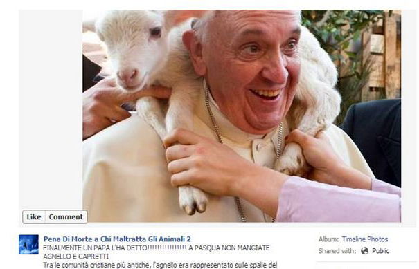 No, il Papa non sta facendo l’animalista article-post