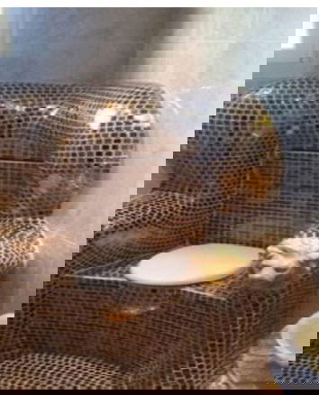 Il WC d’oro di Yanukovich