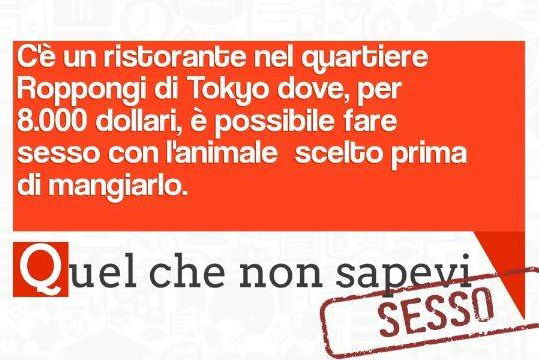 Quel che non sapevi sul sesso Vol. 2 article-post