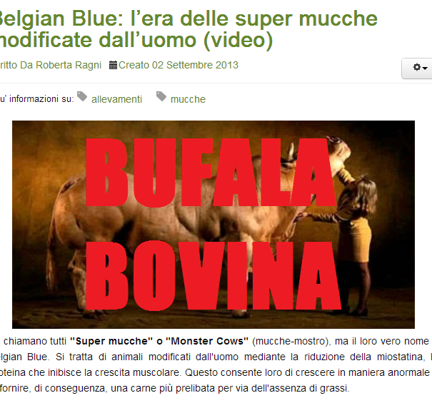 Le super mucche article-post