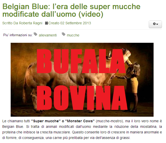 Le super mucche article-post