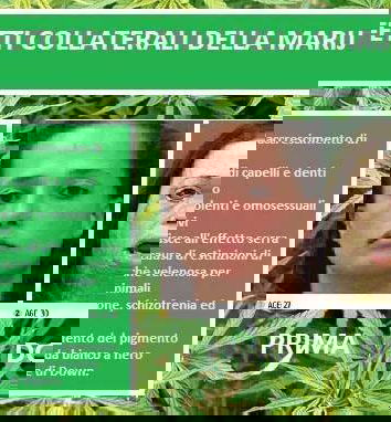 La marijuana fa diventare non strabici ma omosessuali!