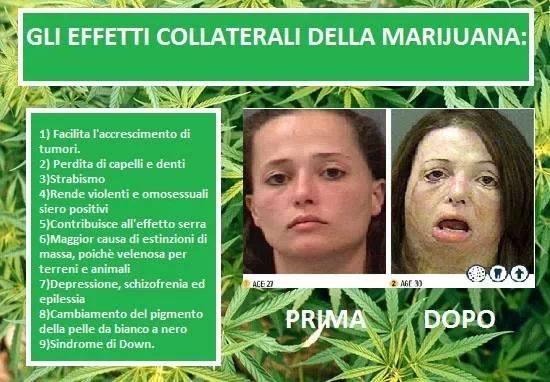 La marijuana fa diventare non strabici ma omosessuali!