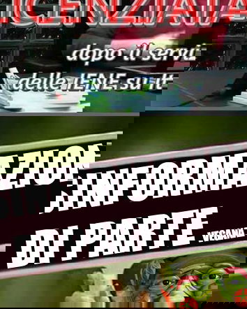 Licenziata dopo il servizio delle Iene