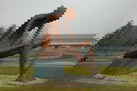 Viaggio tra i Pro Ana article-post