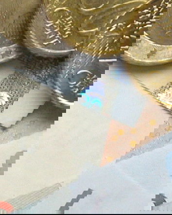 Gli euro agli immigrati