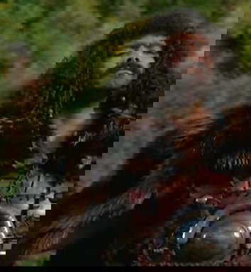 Scoperta la tomba di Attila?