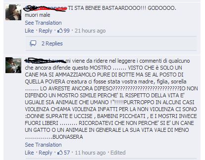 Pestato a morte per abuso su di un cane? article-post