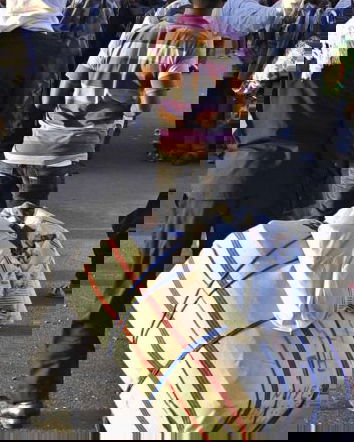 40 milioni per gli immigrati minorenni?