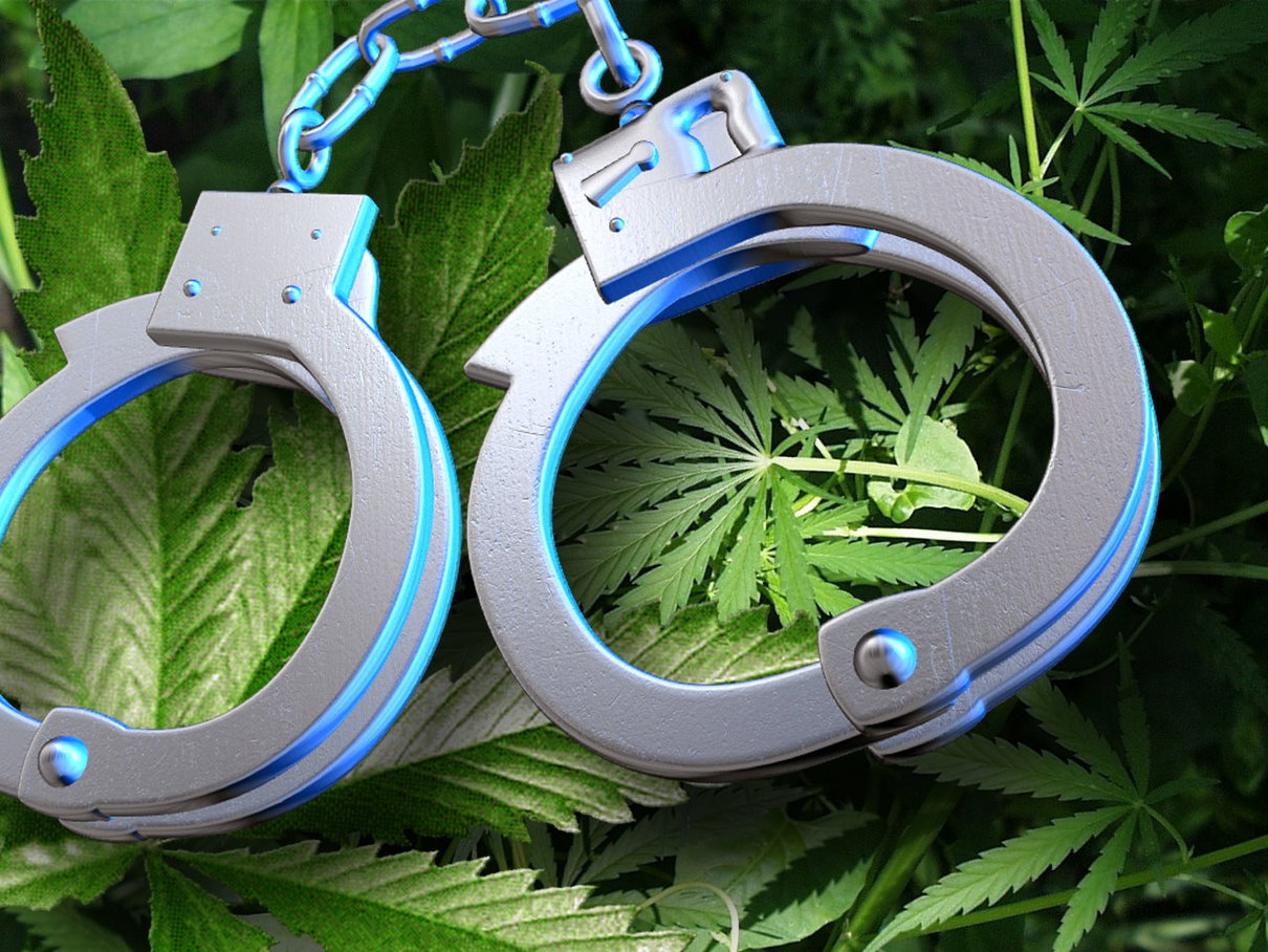 La cannabis light e la Cassazione article-post