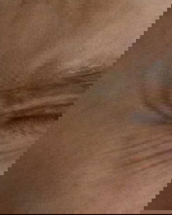 Putin candidato a Nobel per la pace