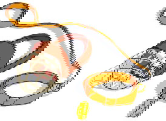 Museruola alle pagine animaliste? article-post