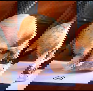 I teschi di Paracas. Episode One