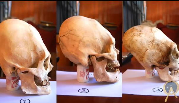 I teschi di Paracas. Episode One article-post