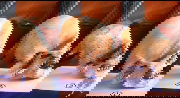 I teschi di Paracas. Episode One