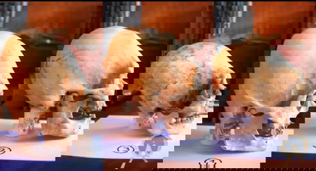 I teschi di Paracas. Episode One article-post