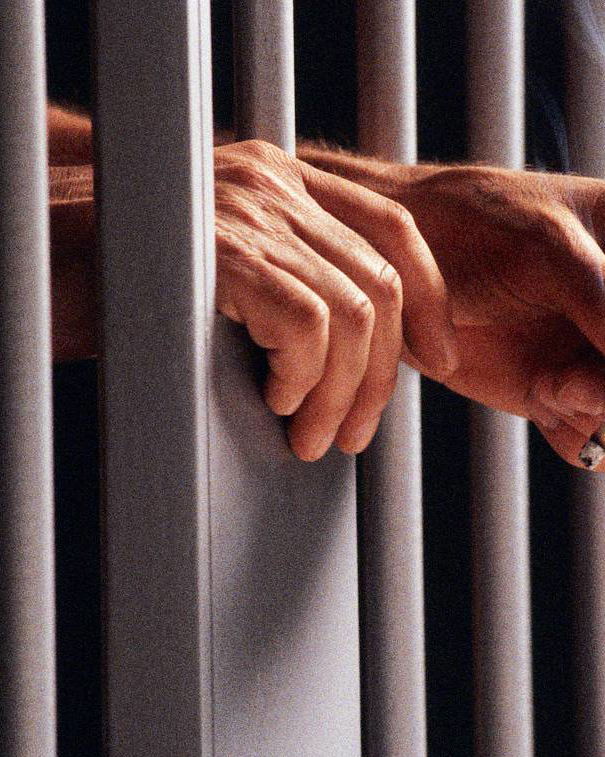 Lucia e William: due pesi, due misure? article-post