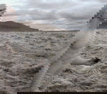 Homo Spaciens: dallo spazio con furore