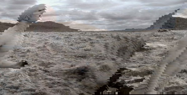 Homo Spaciens: dallo spazio con furore