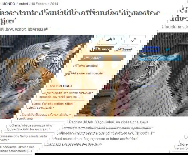 Cinese tenta suicidio nella gabbia delle tigri