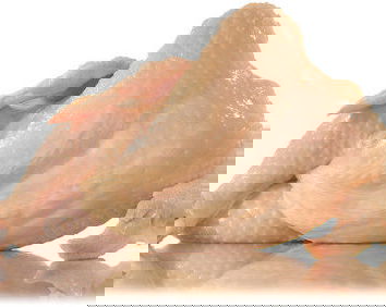 Hai un pollo nella vagina?…