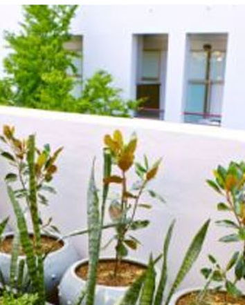 Plant Reproductive Material Law