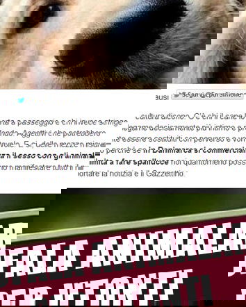 Bordelli per animali in Danimarca?