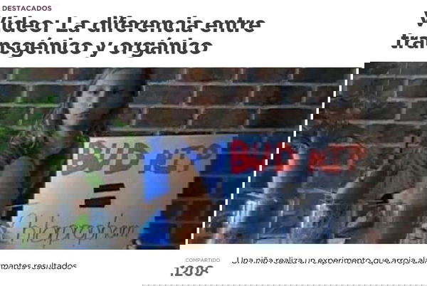 L’importanza degli alimenti organici