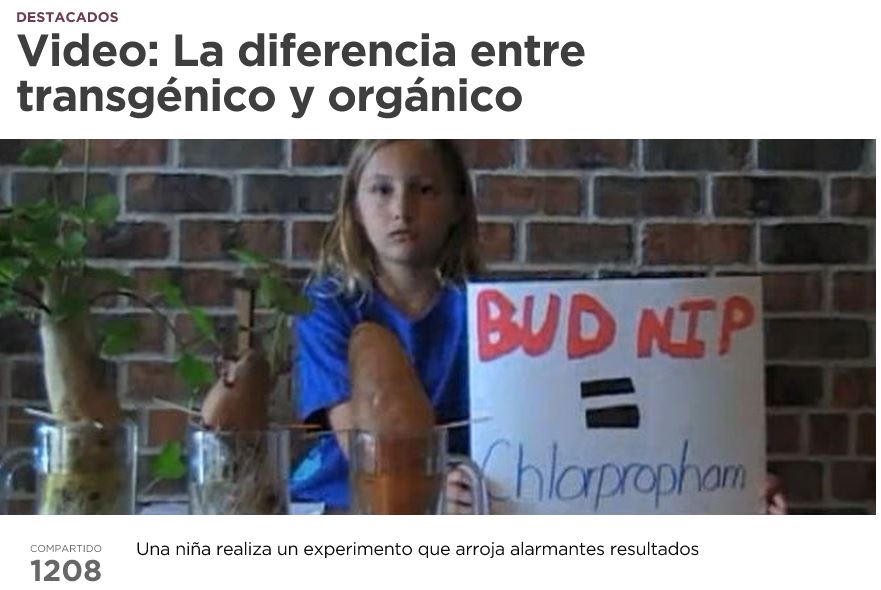 L’importanza degli alimenti organici article-post